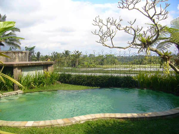 Pool & rice field views