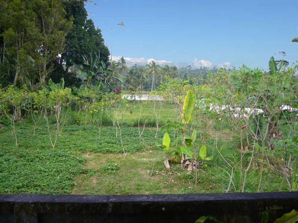 Vacant land included