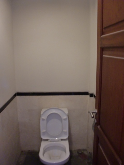 One of 2 toilets on the Ground Floor