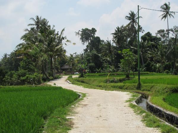 Access road with temple