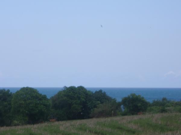Ocean view ( looking south )