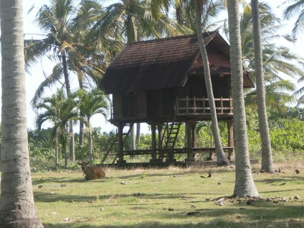 Pavilion on the property