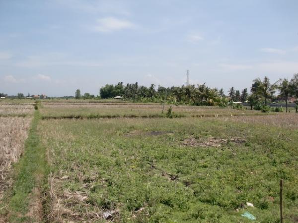 View of the land