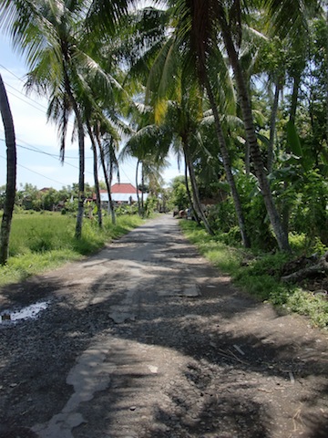 Road access