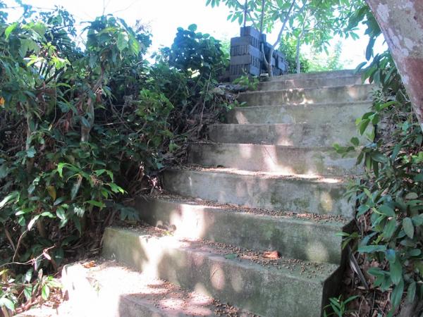 Steps to the river