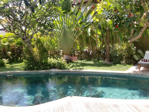 Swimming Pool + Garden