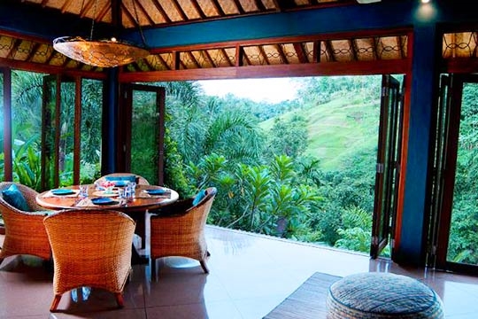 Dining room and jungle view